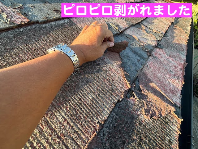 小山市　旧塗膜が剥がれるコロニアル屋根調査　塗装が剥がれた箇所の写真