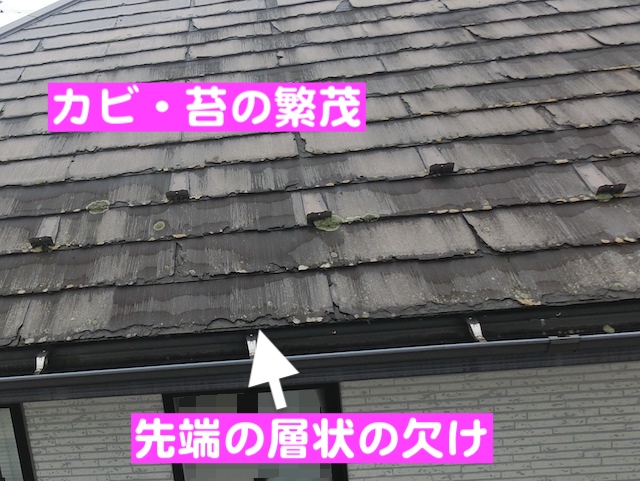 小山市　屋根の先端がパリパリ剥がれる症状　カビ・苔が繁茂したパミールAの写真