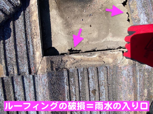 小山市　セメント瓦屋根の雨漏りを調査　経年で破損したルーフィングの写真