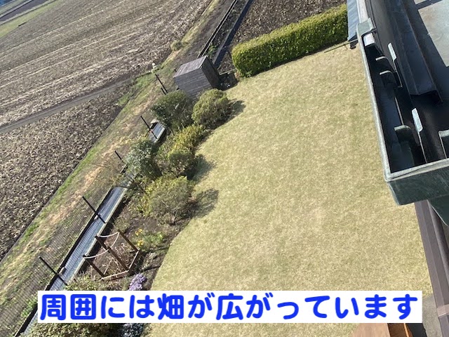 真岡市　雨樋詰まりの原因はＰマス　周辺環境の写真