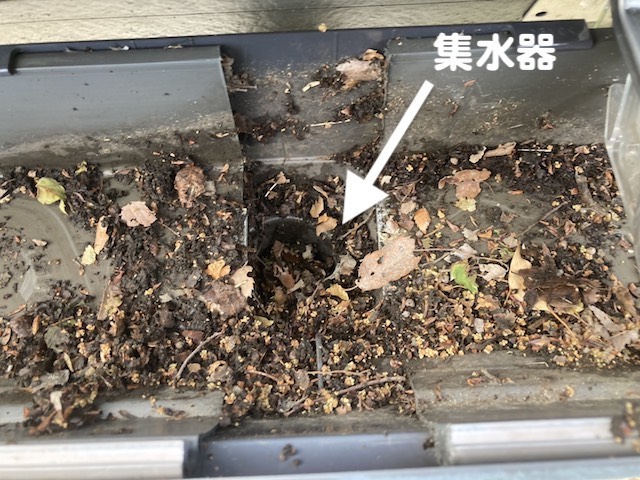 真岡市　落ち葉で詰まった雨どいを清掃　落ち葉除けネット取り外し作業後の写真