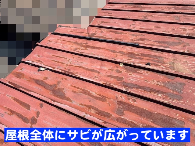 小山市　台風でめくれた瓦棒屋根調査　サビが広がった状態の写真