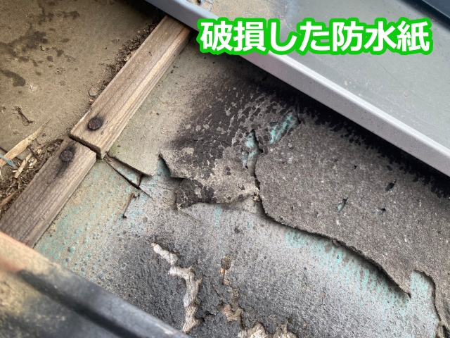 破損した防水紙