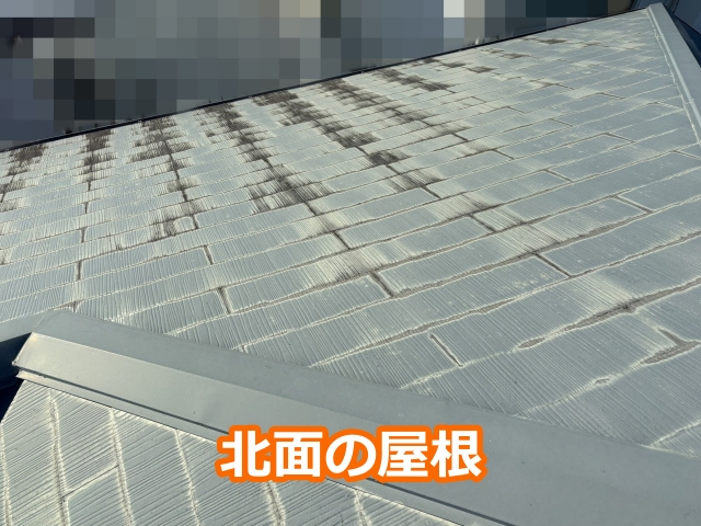 北面も同様