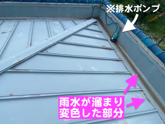 下野市　腰壁に囲まれた見えない屋根　瓦棒屋根の写真