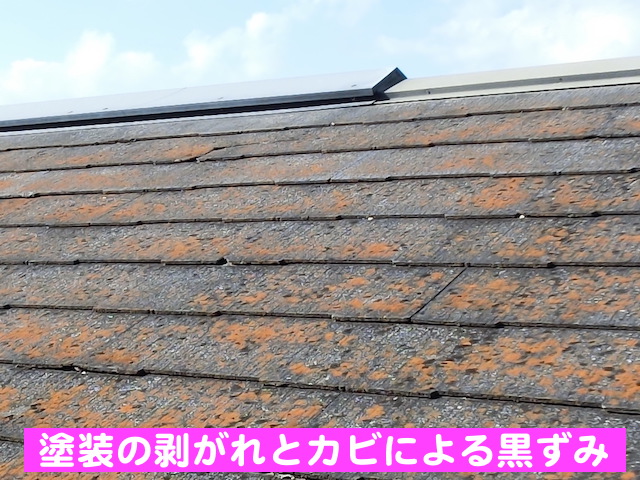 下野市　欠けやヒビが多数ある屋根　カビやコケの写真