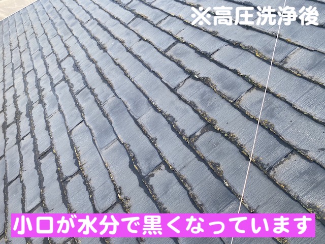 結城市　スレート屋根の劣化調査　高圧洗浄後のパミールの写真
