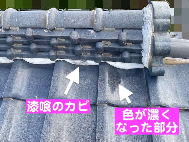 真岡市　瓦屋根の雨漏りを調査　棟とカビの生えた漆喰の写真