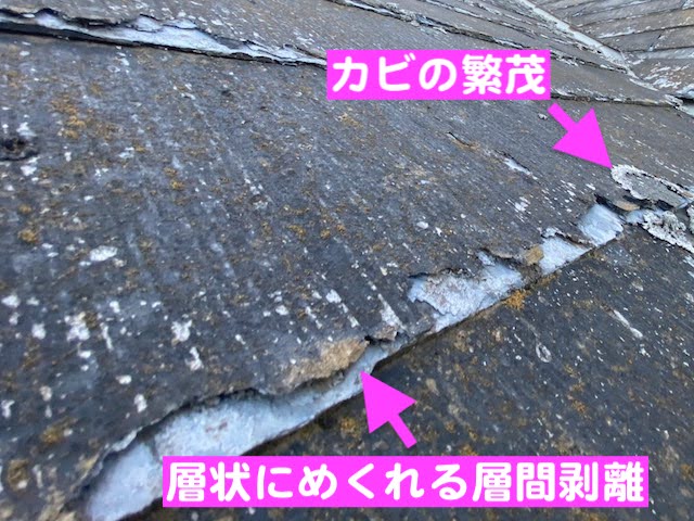 下野市　パミール屋根の調査　層間剥離の写真