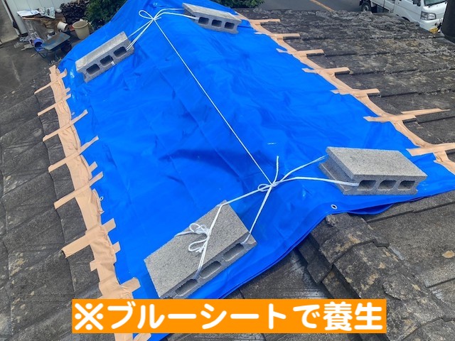 小山市　室内雨漏り　棟部分のブルーシートによる養生の写真