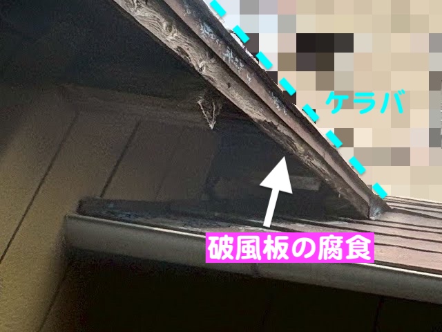真岡市　築50年の横葺きトタン屋根を雨漏り調査　外壁との取り合いの写真