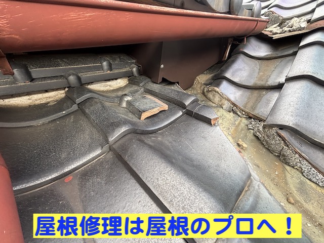結城市の雨水が吹き込んだ上屋と下屋の接点部分の雨漏り修理が完了