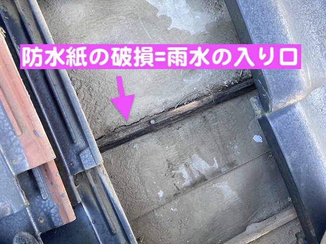 真岡市　瓦屋根の雨漏り調査で天井裏も確認！桟木ぞいの防水紙破損が原因