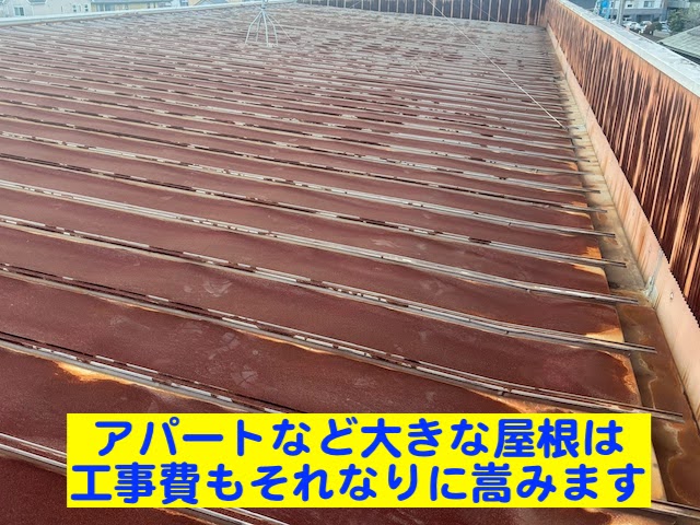 小山市　築35年のアパート屋根を調査　サビが広がった瓦棒トタン屋根の写真