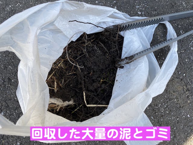 真岡市　雨樋詰まりの原因はＰマス　詰まっていたゴミの写真