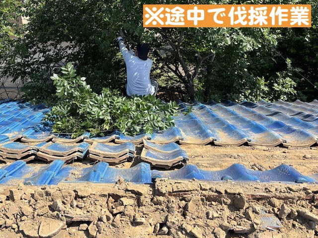 栃木市　瓦屋根の雨漏り対策強化（葺き直し）　樹木伐採作業の写真