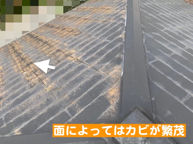 真岡市　築30年の天窓からの雨漏り調査　塗装が劣化したコロニアル屋根の写真