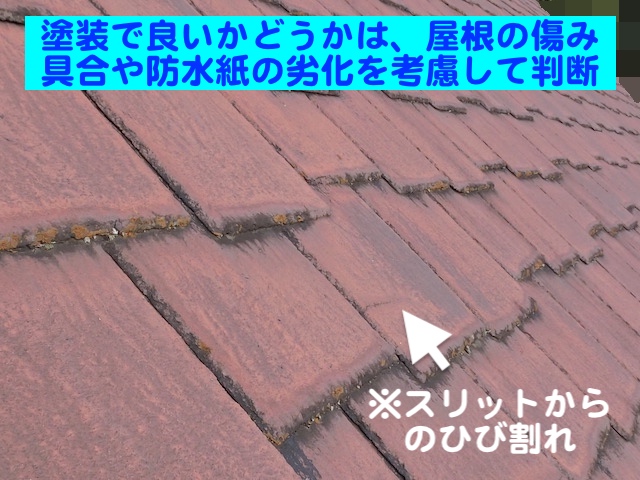 下野市　ニューアーバニー屋根を調査　塗装検討解説用の写真