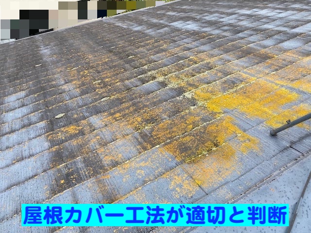 下野市　築30年の屋根を調査　カビと変色したスレート屋根の写真