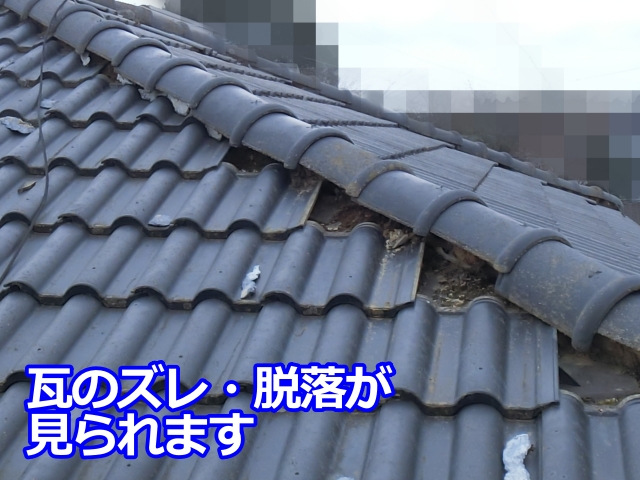 瓦のズレが散見される屋根表面