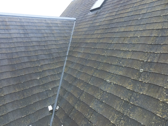 7ｍポールを使用し、遠隔シャッターで屋根表面を撮影します