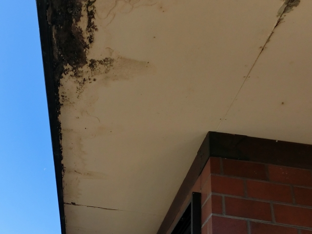 新しい箱樋と笠木により雨漏り対策が万全となる方法をご提案