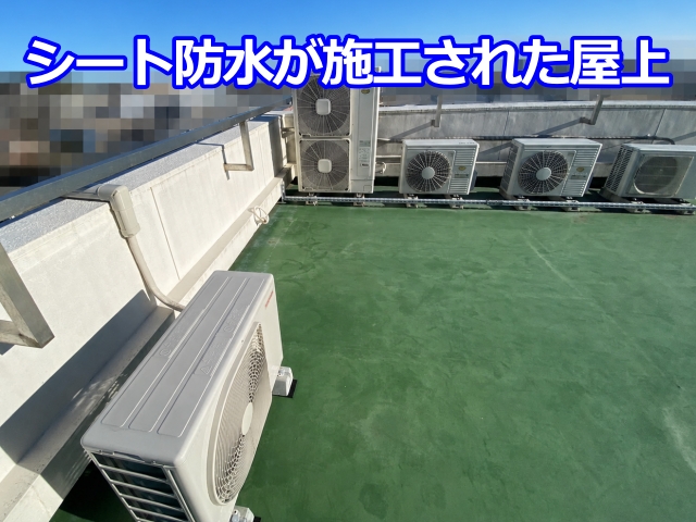 今回の屋上にはシート防水が施工されていました