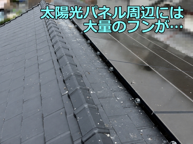 瓦屋根と太陽光パネルが設置された建物全景