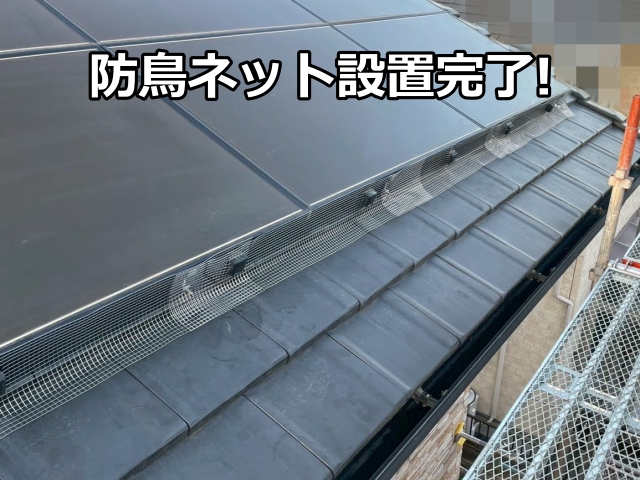 防鳥ネットの設置完了！