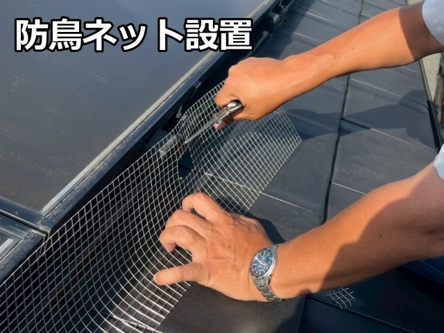 太陽光パネルの側面へ防鳥ネットを設置