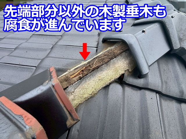 先端部分以外の木製垂木も腐食が進んでいます