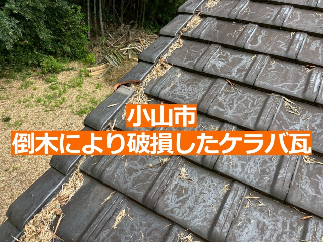 強風で倒れた竹が屋根に接触し瓦が破損した小山市の現場の様子