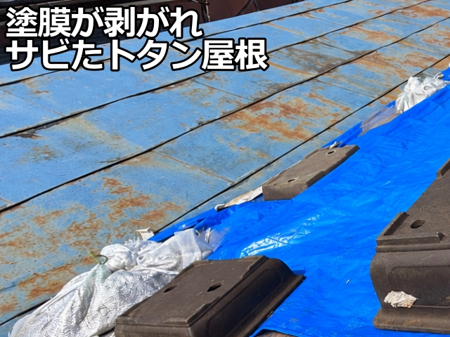 残ったトタン屋根にも広範囲のサビを確認