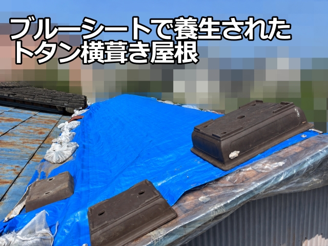 野木町　台風でトタン横葺き屋根が半分飛散した物置を調査
