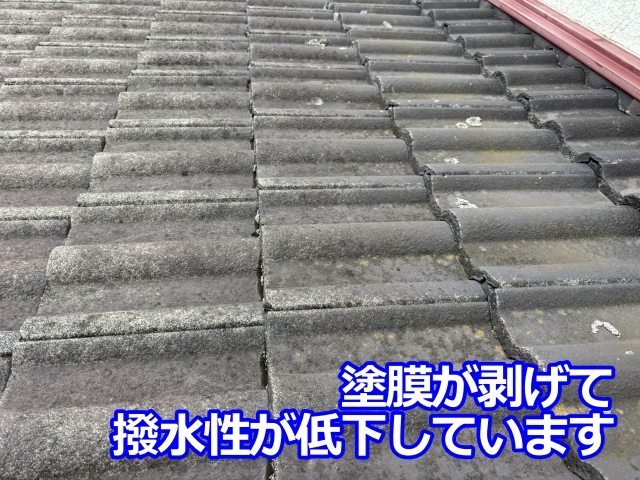 塗膜が剥げて撥水性が低下したモニエル瓦