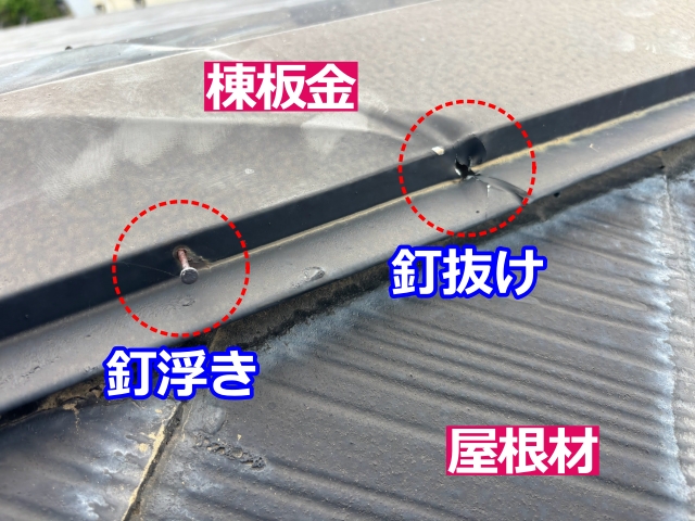 棟板金を固定していた釘が浮いていました
