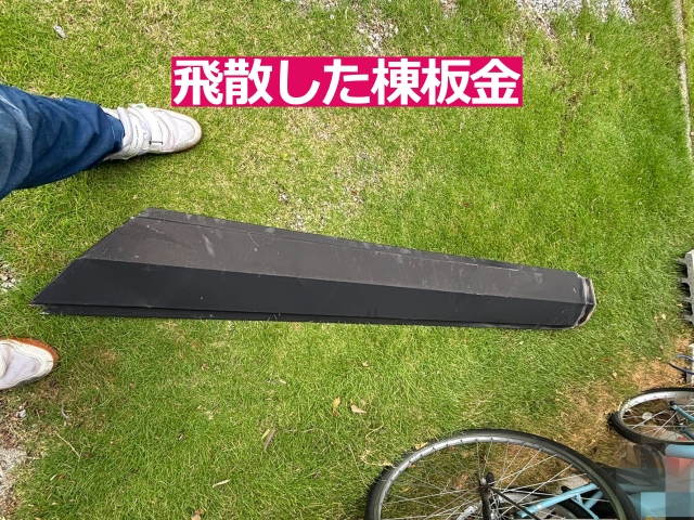 飛散した棟板金も確認しました