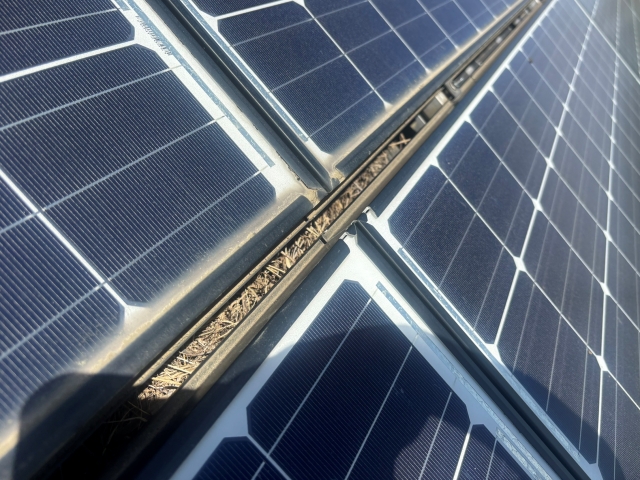 太陽光パネルの防鳥対対策は瓦や架台周辺の状態も含め注意して作業を進めます