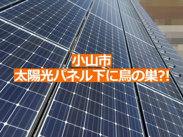 小山市の瓦屋根と太陽光パネルの隙間に鳥の巣がある住宅を調査