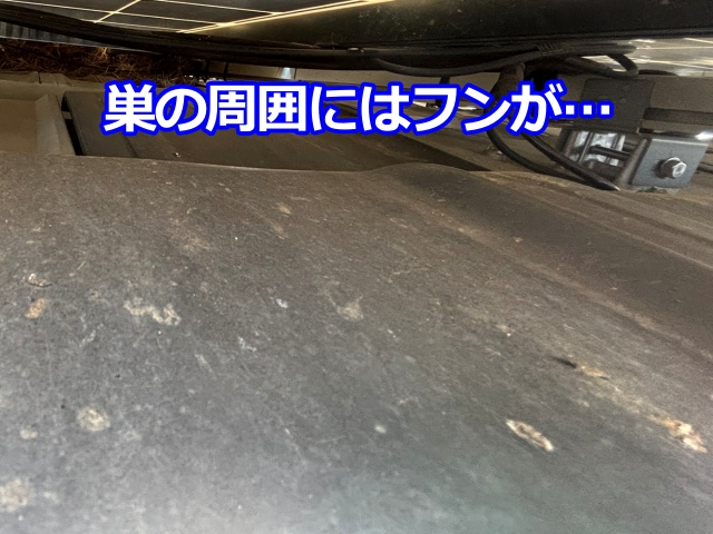 巣材やフンを放置すると太陽光パネルや屋根材を傷める原因に