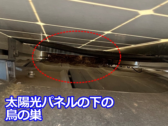小山市　瓦屋根と太陽光パネルの隙間に鳥の巣｜防鳥ネット対策をご提案