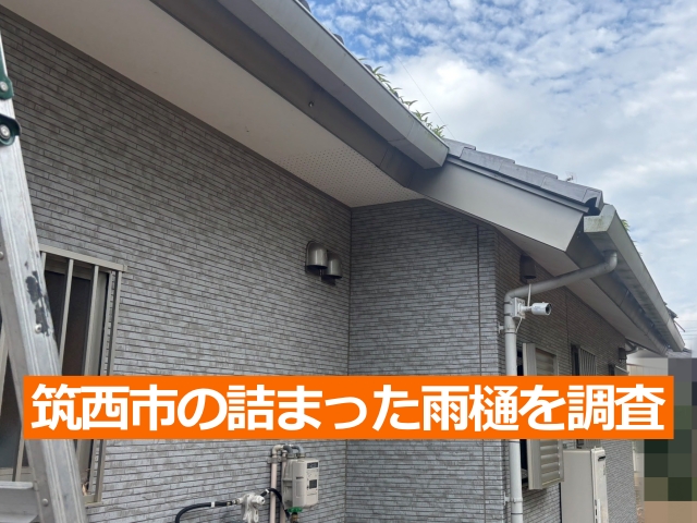 筑西市の詰まった雨樋を調査