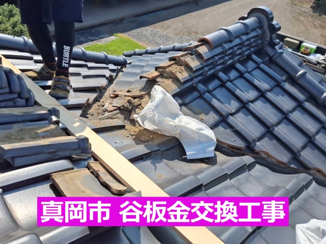 真岡市の谷板金交換工事開始