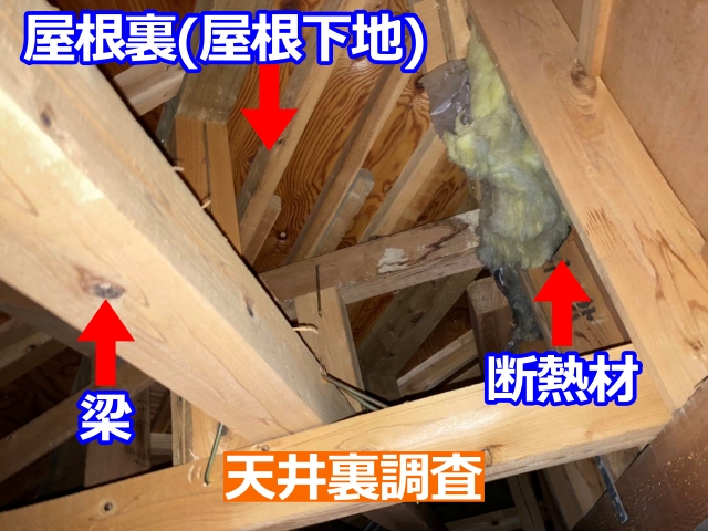 天井裏の雨漏り痕