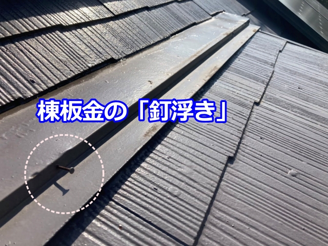 棟板金を固定する釘が浮いている箇所を確認。板金の浮きや雨水の浸入につながるため注意が必要