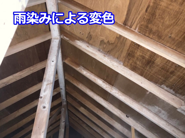カビが生えてない箇所も黒ずんだ雨染み跡が