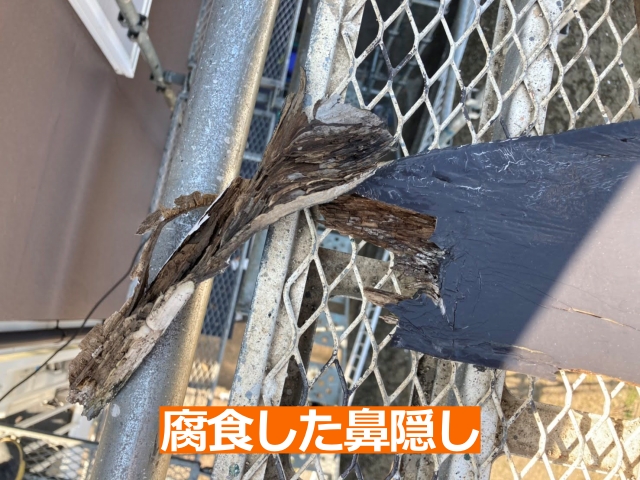 腐食した鼻隠しの破片