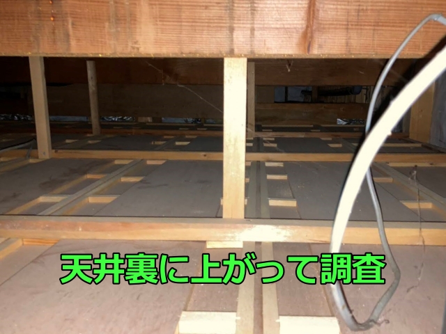 天井裏から雨水の動きを確認