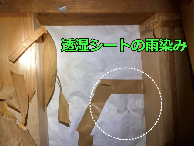 天井裏の透湿シートにも雨染みが