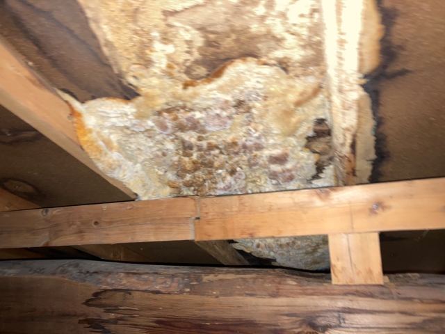 水を吸って膨張し、もろくなって剥離したインシュレーションボード